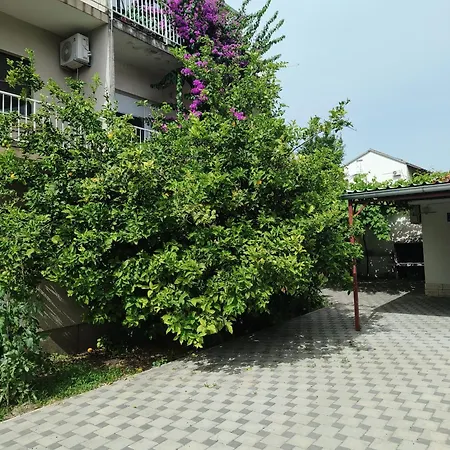 Ante Apartment